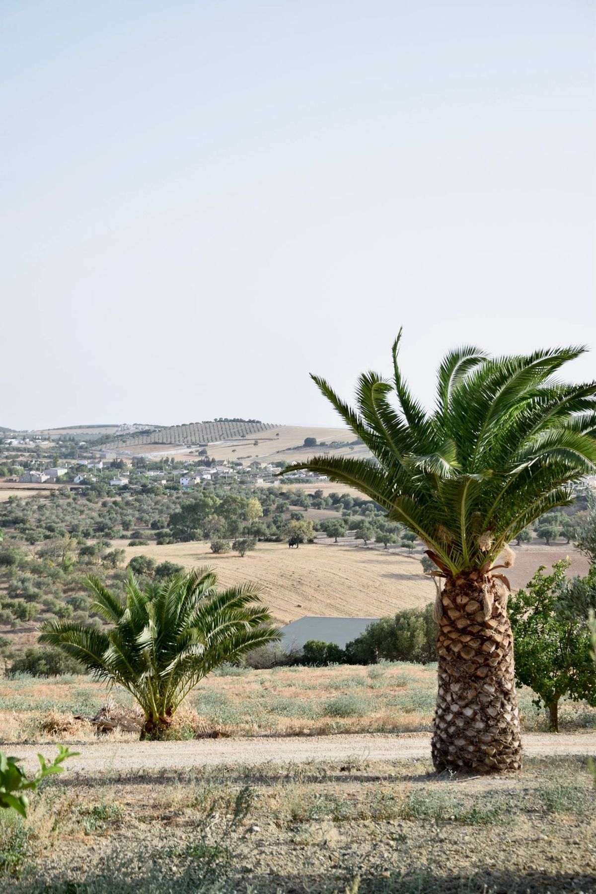 Eventos en Cortijo Bablou